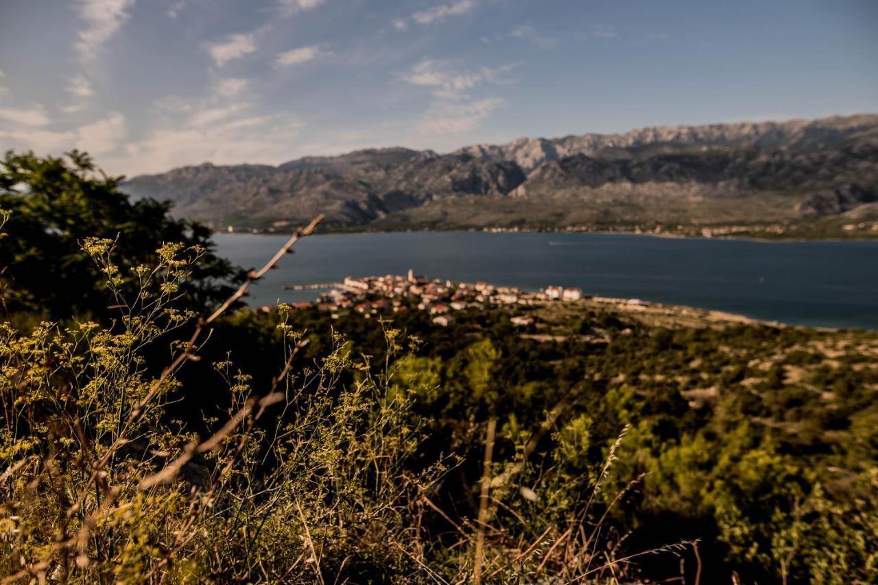 La Familia, Zadar, Vinjerac Villa Luaran gambar